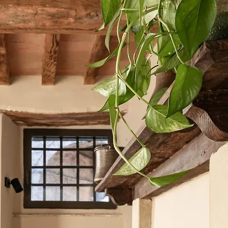 Lento Pede, Eco-friendly Retreat * Proceno
